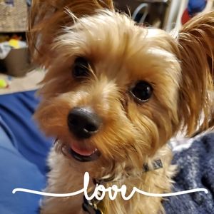 Meet your Posher, Tina